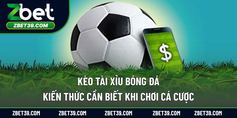 Kèo Tài Xỉu Bóng Đá – Kiến Thức Cần Biết Khi Chơi Cá Cược