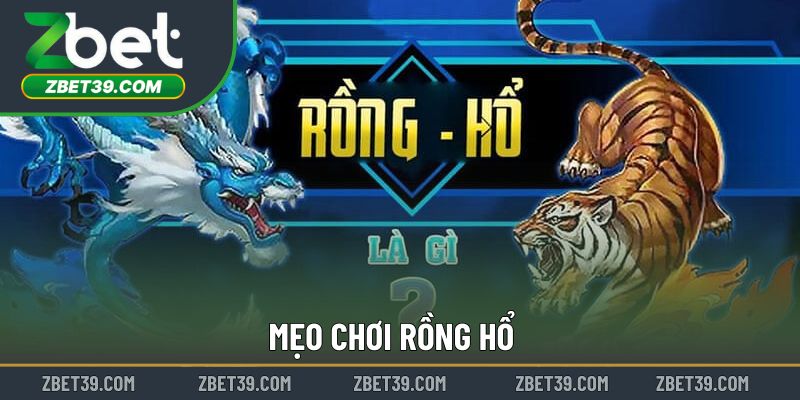 Mẹo Chơi Rồng Hổ – Cách Tối Ưu Lựa Chọn Và Quản Lý Vốn