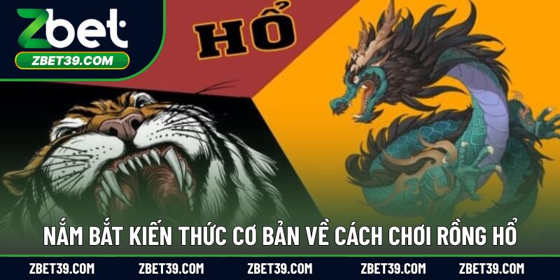 Nắm bắt kiến thức cơ bản về cách chơi rồng hổ