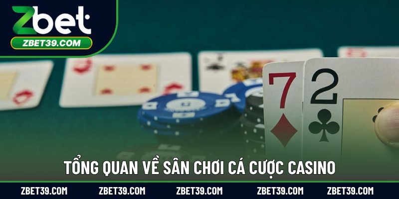 Tổng quan về sân chơi cá cược casino